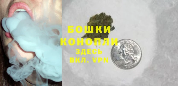 не бодяженный Каменногорск