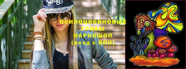 кокс Корсаков