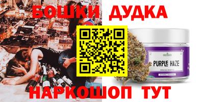 крисы Волгодонск