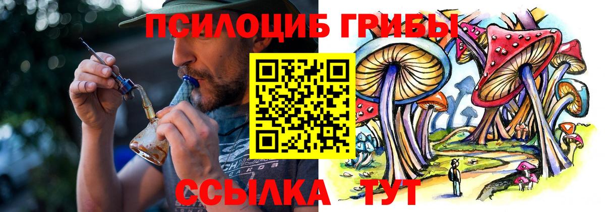Муром  Галлюциногенные грибы Psilocybine cubensis  Вход с VPN 